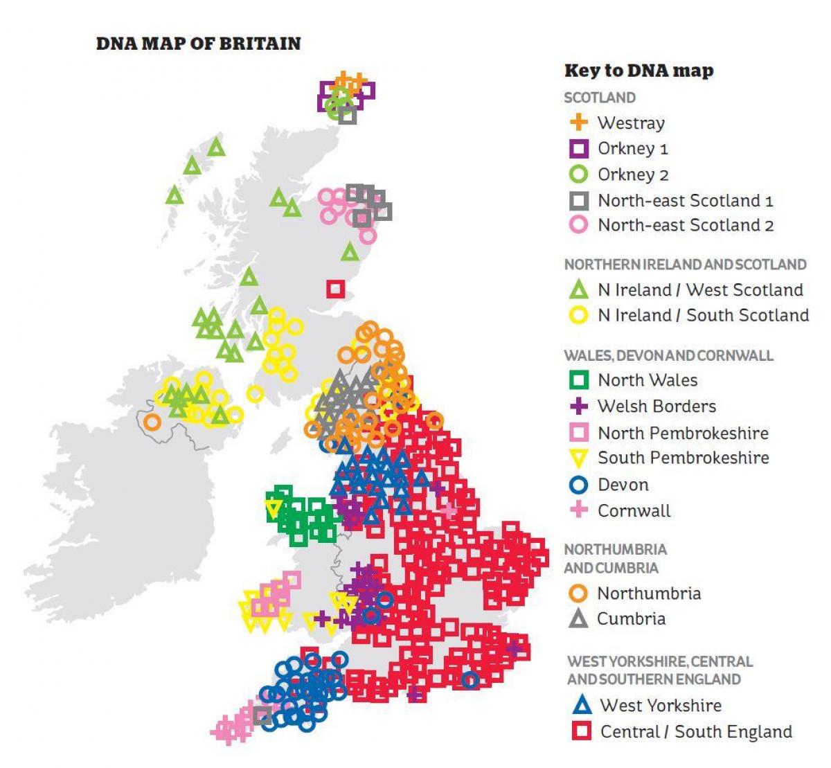 遺伝子地図のイギリス